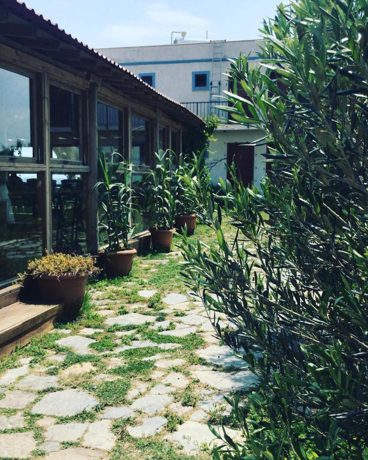 Sukha Inn Hotel & Beach ボズカーダ エクステリア 写真